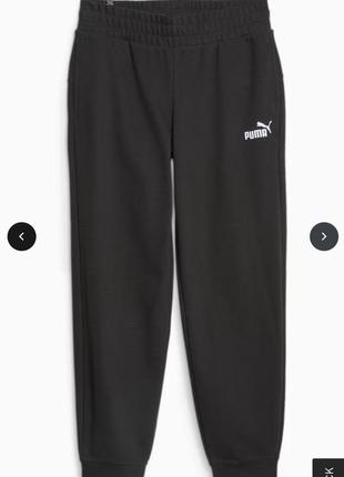 Штаны спортивные puma xl, графитовые, трикотаж