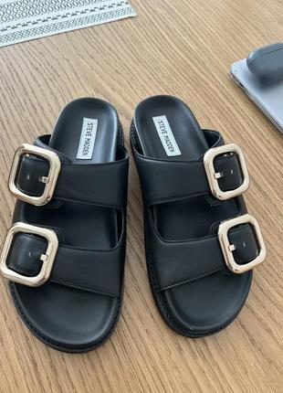 Шлепанцы steve madden