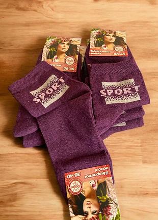 Жіночі шкарпетки sport бордо