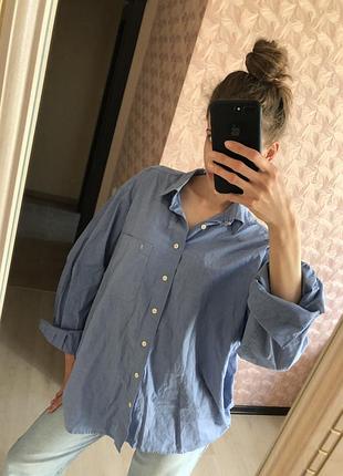 Блакитна сорочка голубая рубашка 5