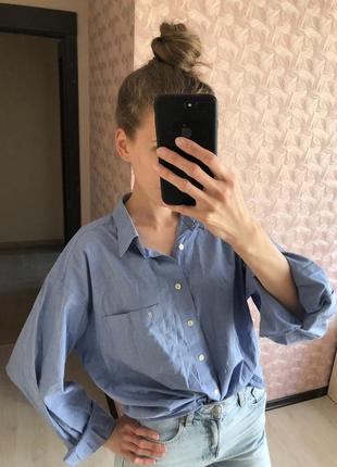 Блакитна сорочка голубая рубашка 2