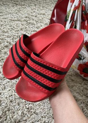 Актуальные шлепанцы/сланцы adidas,p.37-38