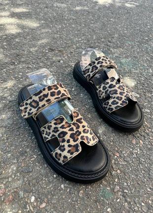 Женские шлепанцы paradise замшевые леопардовые