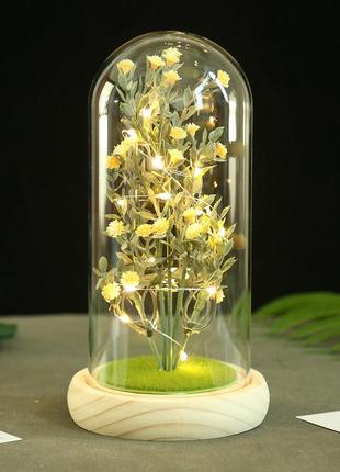 Гипсофила в колбе ky-262 с led подсветкой светодиодный ночник yellow ve-33