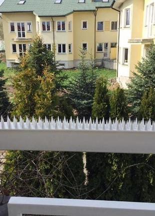 Шипы пластиковые от птиц 5м, белый 3