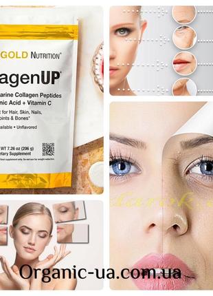California gold nutrition, collagenup, пептиды гидролизованного морского коллагена с гиалуроновой ки