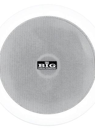 Стельовий динамік big cst505+ вч твітер (2х полосна)