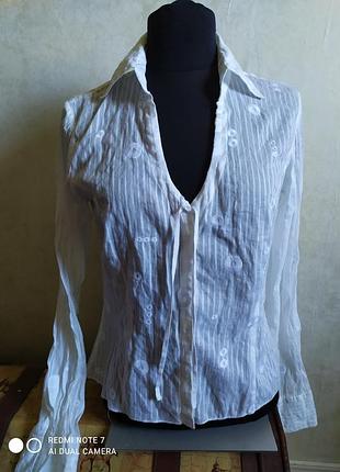 Блузка рубашка хлопок