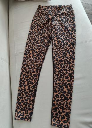 Хіт! сексі лосіни леопардовий принт