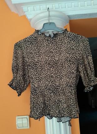 Блуза topshop 8