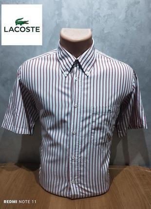Lacoste, чоловіча сорочка, короткий рукав