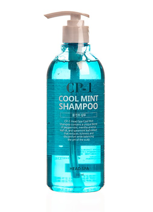 Охлаждающий шампунь для волос с экстрактом мяты esthetic house cp-1 head spa cool mint