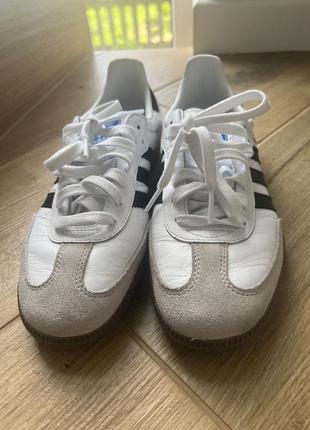 Кросівки adidas samba
