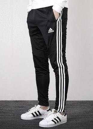 Спортивные штаны Blue adidas