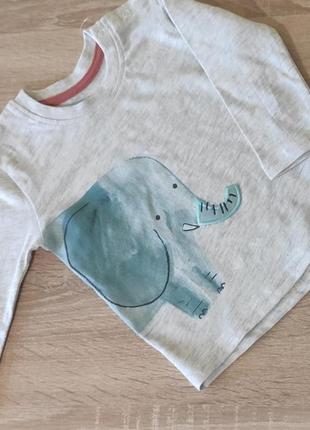 Реглан для мальчика