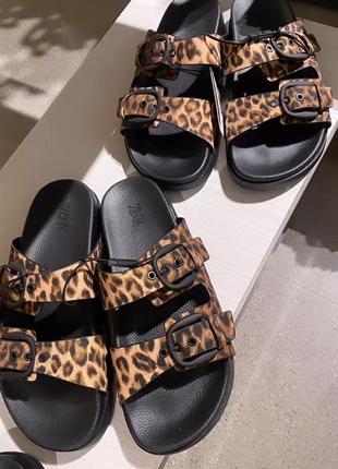 Леопардовые тапки шлепанцы zara
