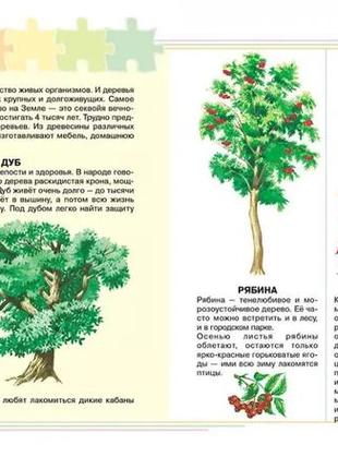Моя перша енциклопедія3 фото