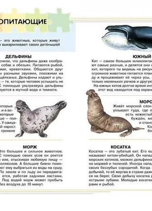 Моя перша енциклопедія4 фото