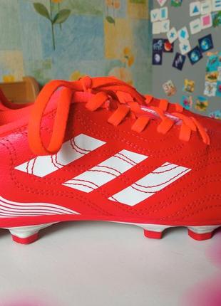 Фірмові бутси adidas copa р 38 - 24,5 см1 фото