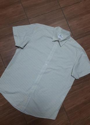 Теніска levis