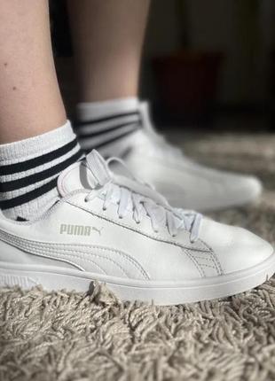 Кроссовки кеды белые оригинальные кожа Scarpe Puma Remedie Slip-On Wns 377038 01 frontal White Puma Team Gold+