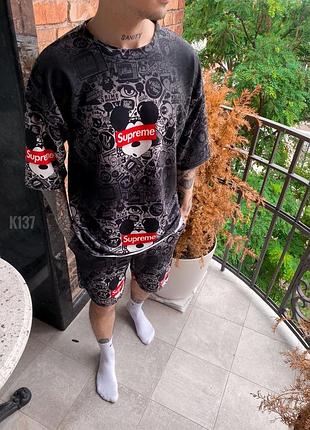 Костюм спортивный летний мужской