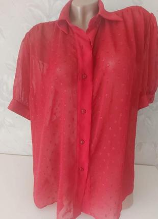 Красная шифоновая блузка в горох