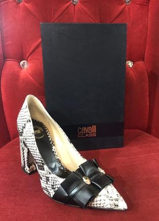 Туфлі roberto cavalli