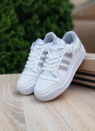 Жіночі шкіряні кросівки adidas forum low 84 white grey адідас форум