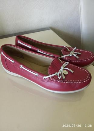 Лофери 43 весна, осінь