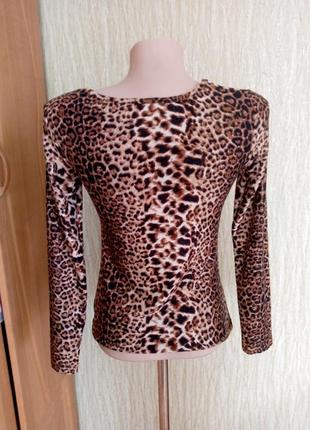 Кофта жіноча італія 5