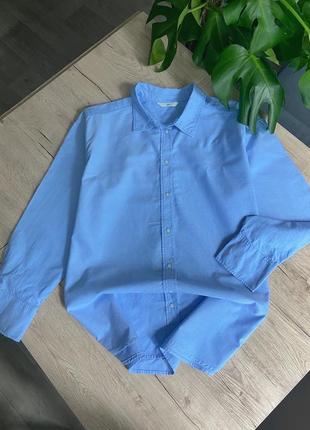 Стильная базовая голубая оверсайз рубашка h&m