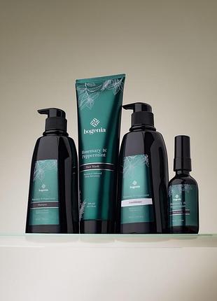 Набір 4в1 (шампунь, кондиціонер, маска, сироватка) для волосся з розмарином та м'ятою bogenia