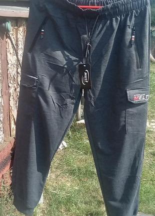 Чоловічі спортивні штани