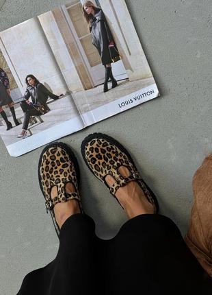 Лофери леопард