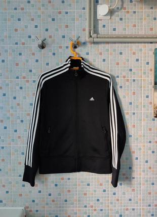 Олімпійка adidas.