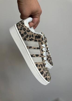 Стильні жіночі кросівки adidas campus 00s leopard beige леопардові