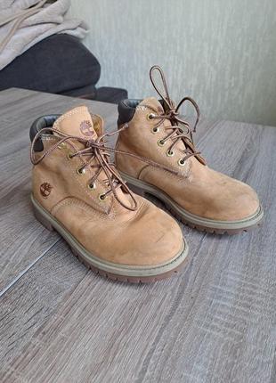 Черевики timberland