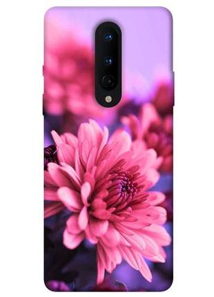 Чехол с принтом на ван плюс 8 нежная хризантема / чехол с принтом на oneplus 8