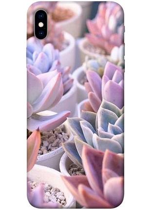 Чохол із принтом на айфон ікс ес макс ехеверія 2 / чохол із принтом на iphone xs max