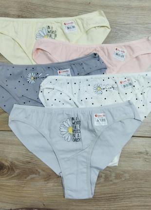 Трусики жіночі 5 шт труси плавки донелла прості