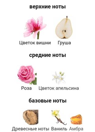 Флакон миниатюра repetto коллекц парфюм цвет фруктов  роза груша вишня ваниль апельсин olivier polge духи пробник духи парфум5 фото