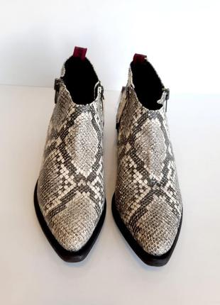 Gioseppo черевики козаки зі шкіри пітона