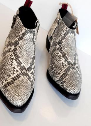 Gioseppo черевики козаки зі шкіри пітона