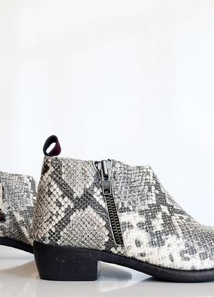 Gioseppo черевики козаки зі шкіри пітона