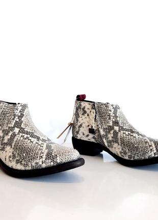 Gioseppo черевики козаки зі шкіри пітона