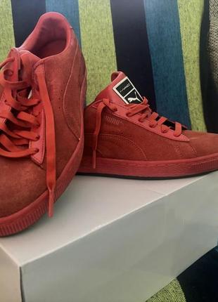 Mac puma sale