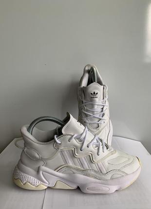 Кросiвки adidas ozweego5 фото