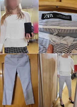 Костюм офісний s m 44 46 біла сорочка і штани крута блузка реглан топ кежуал сорочка віскозна рубашка comma лонгслів