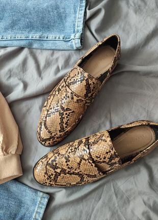 Лофери zara